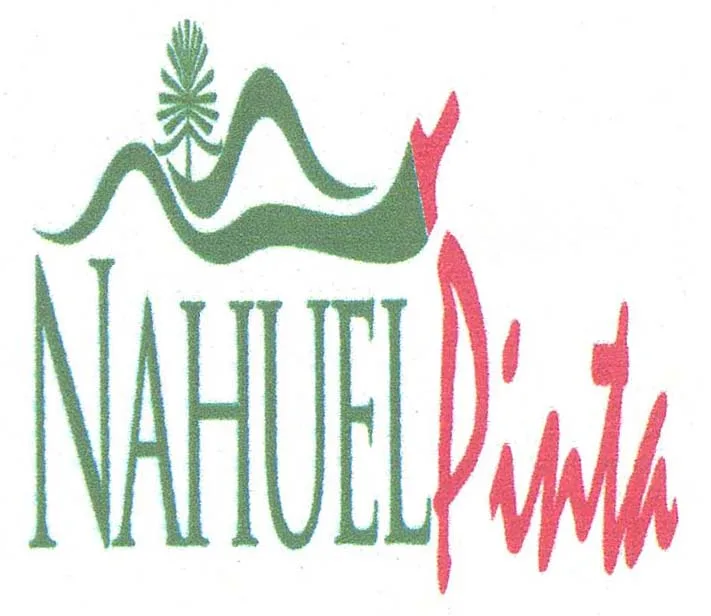 NAHUELPINTA