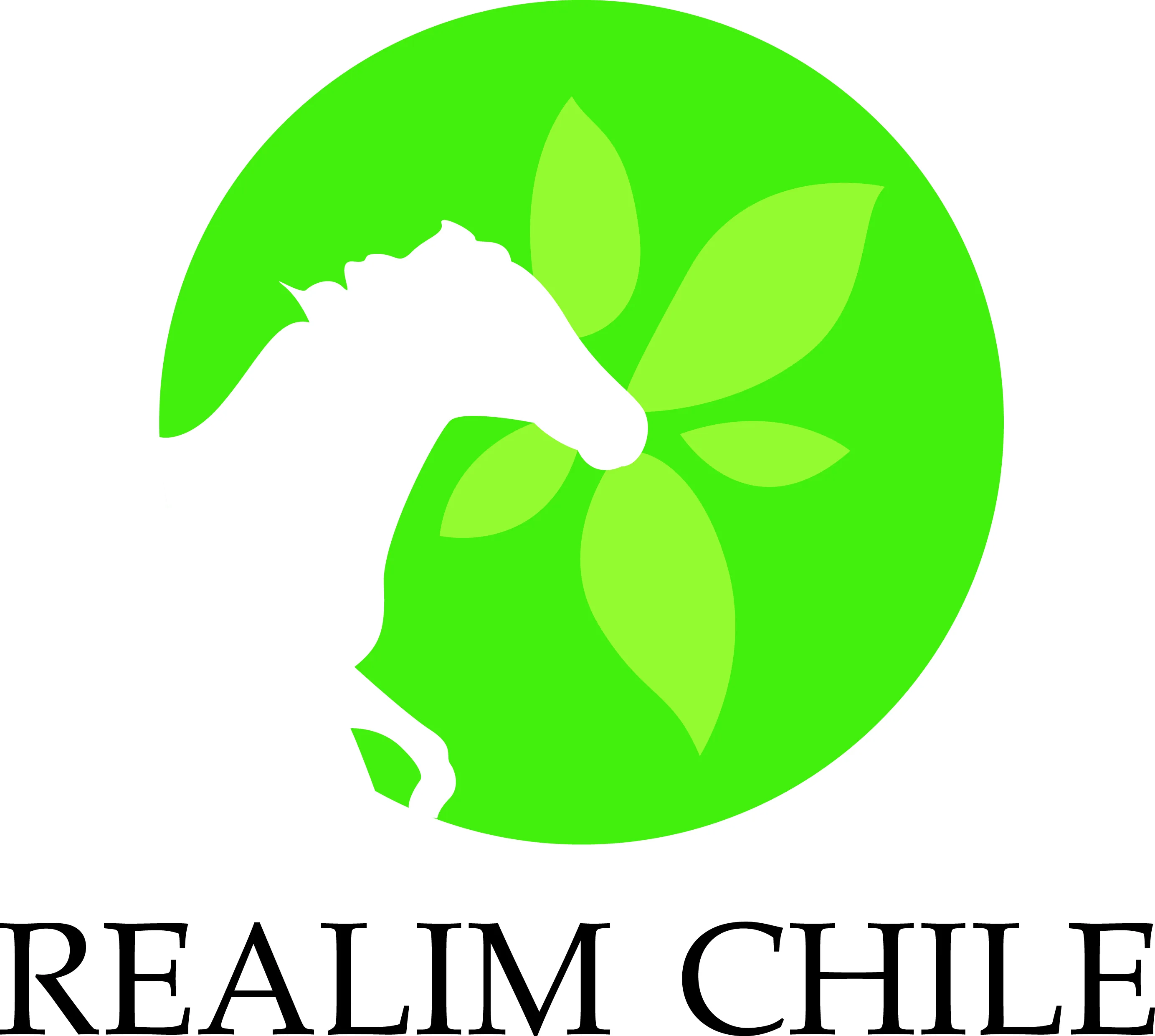 Realim Chile