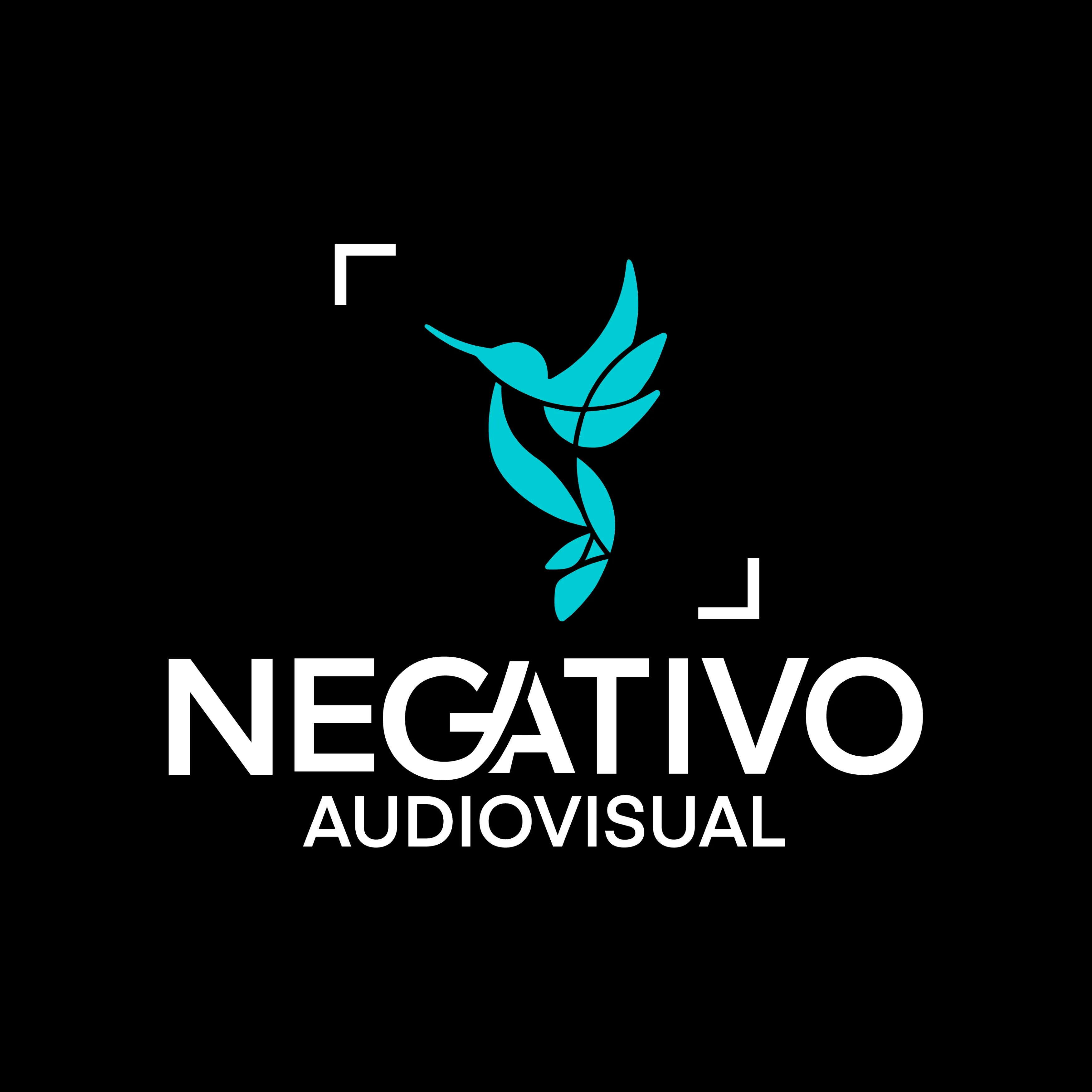 Negativo Audiovisual