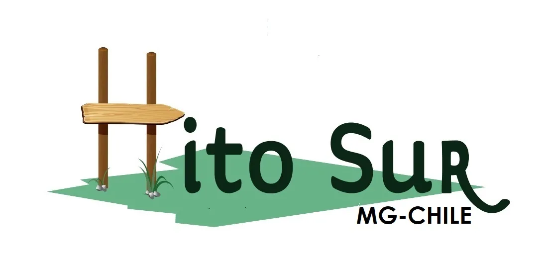 HITO SUR MG-CHILE