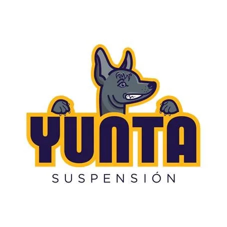 YUNTA SUSPENSIÓN