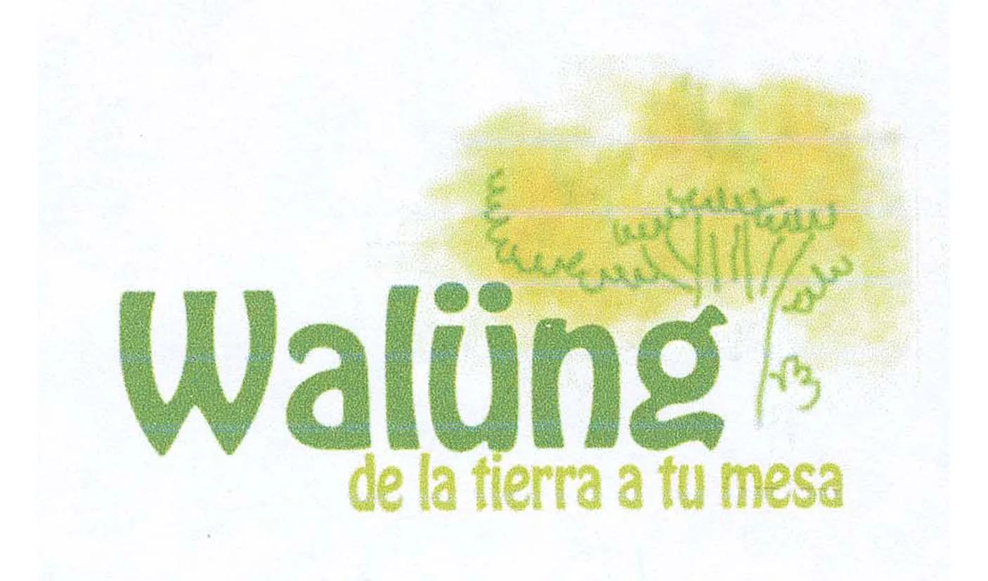 WALÜNG DE LA TIERRA A TU MESA