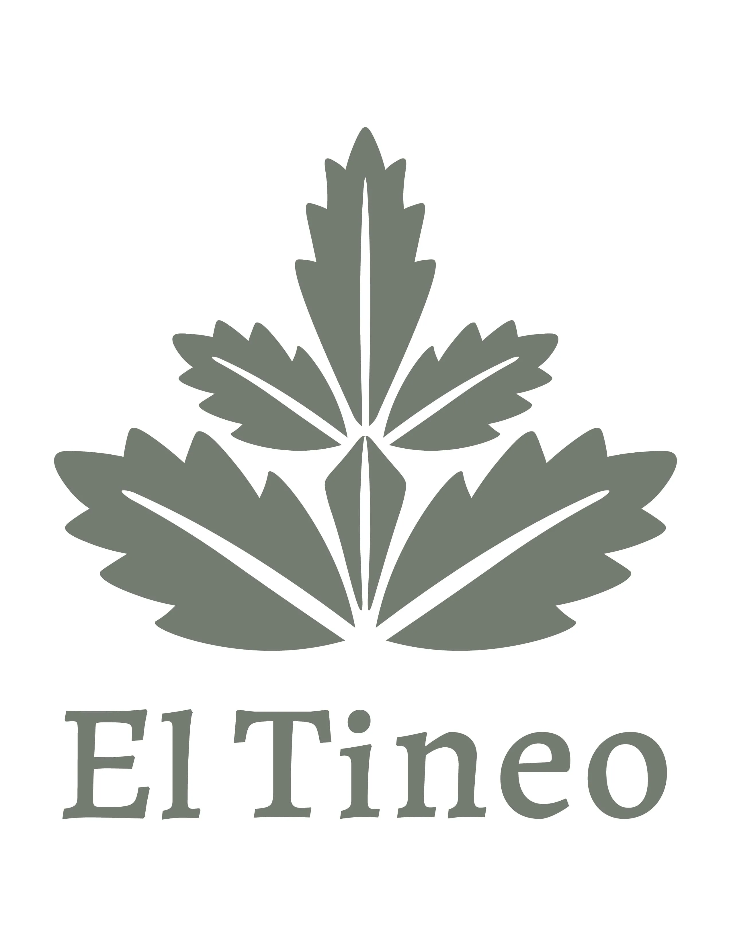 EL TINEO