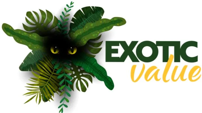 Exotic Value