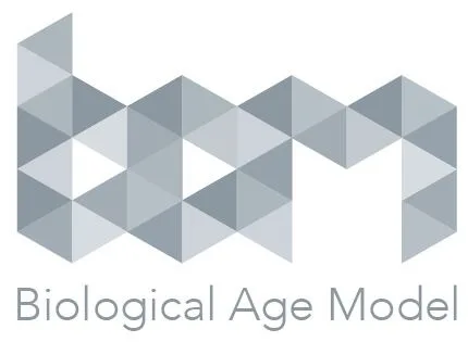 BIOLOGICAL AGE MODEL BAM