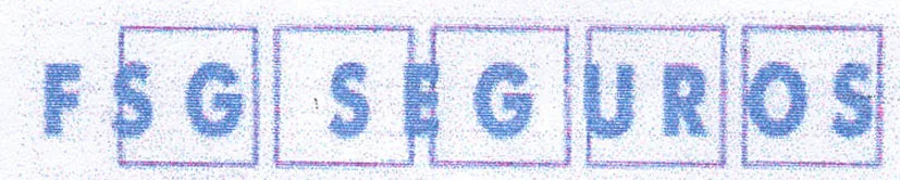 FSG SEGUROS