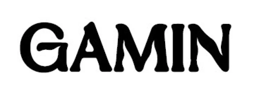 GAMIN
