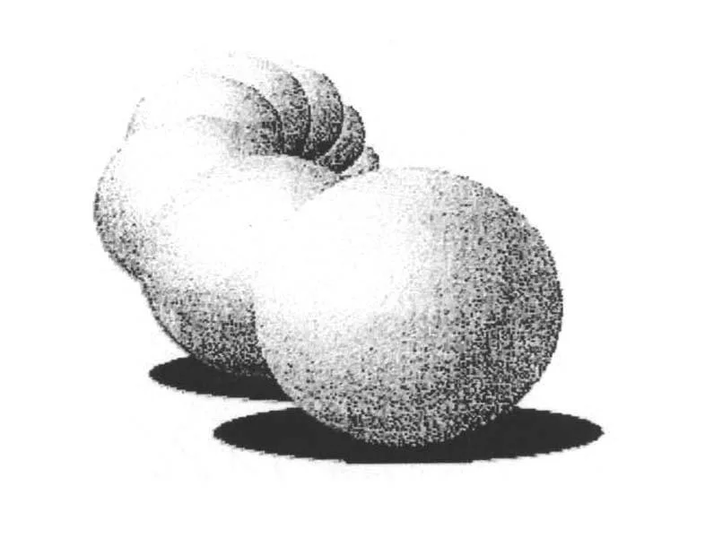 Acta 883886