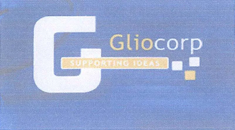 G GLIOCORP SUPPORTING IDEAS