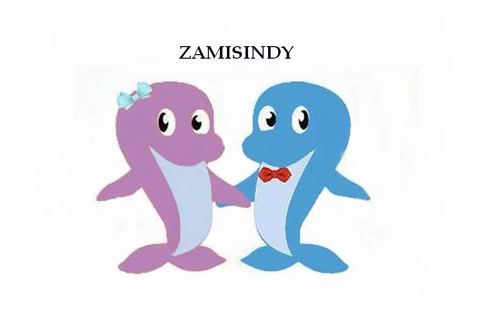 ZAMISINDY