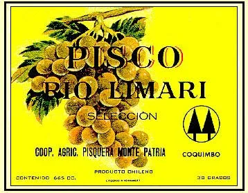 RIO LIMARI