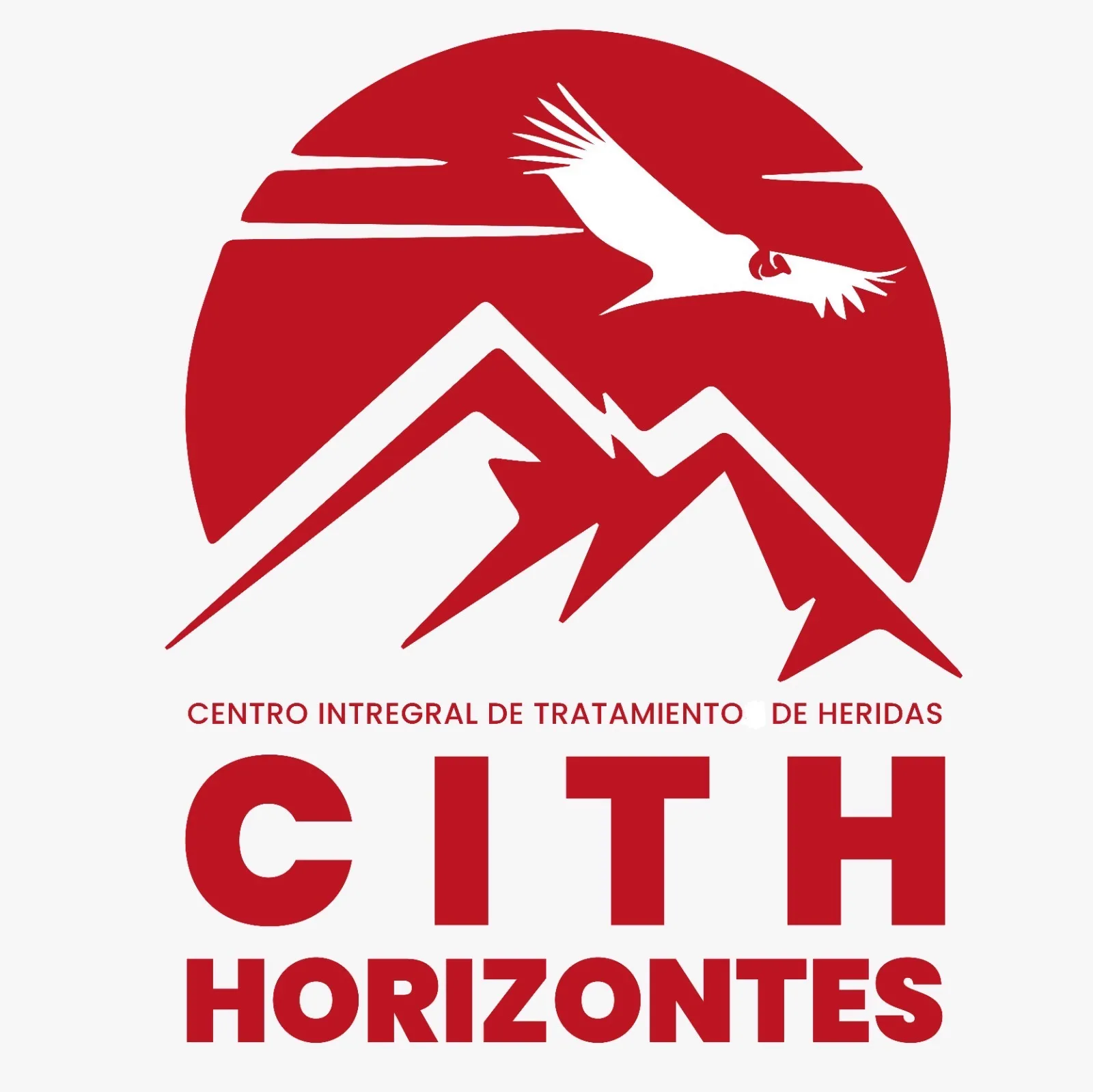 CITH CENTRO INTEGRAL DE TRATAMIENTO DE HERIDAS HORIZONTES