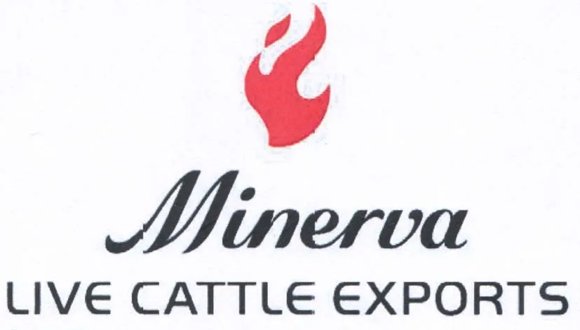 MINERVA LIVE CATTLE EXPORTS