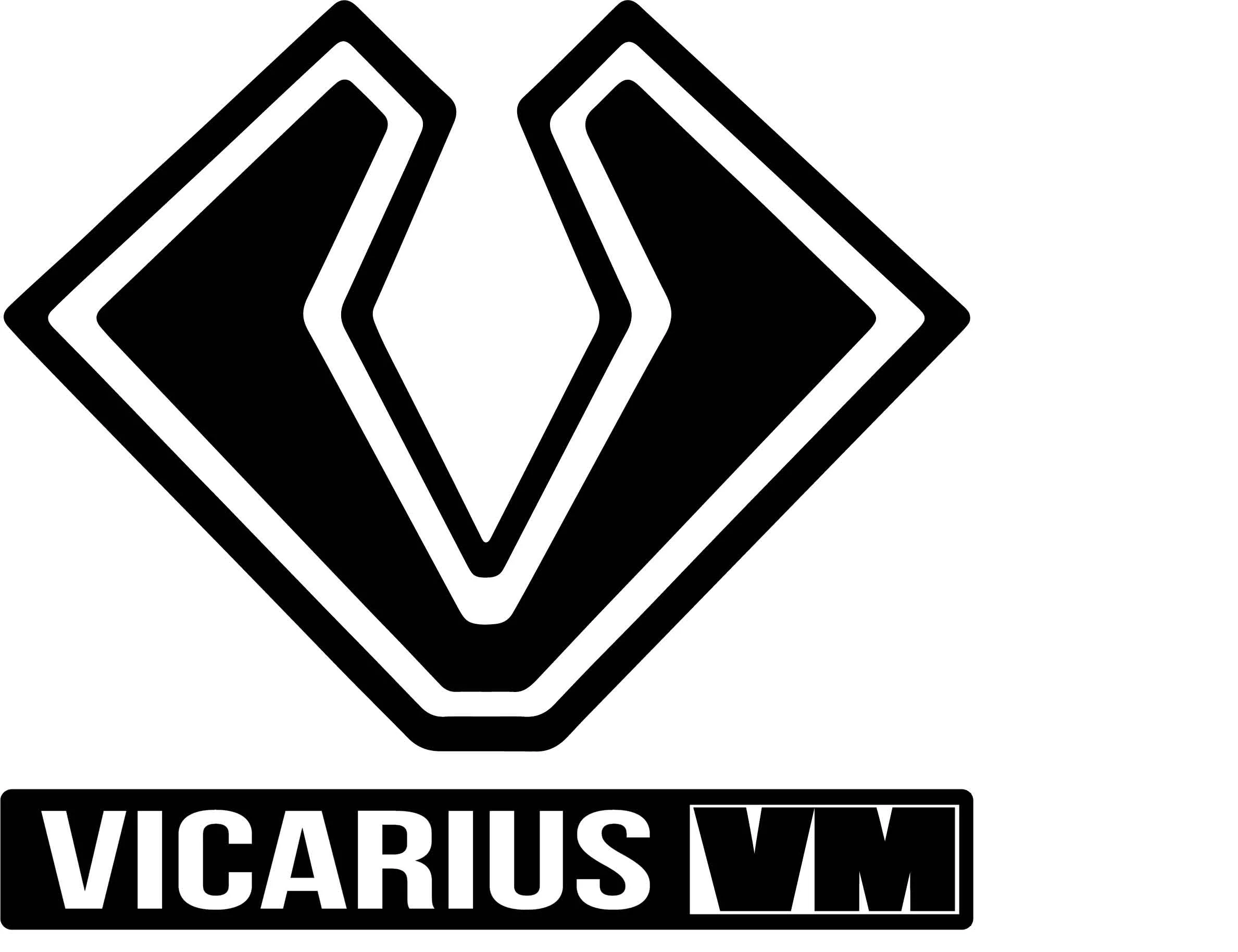 V VICARIUS VM