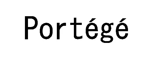 PORTEGE