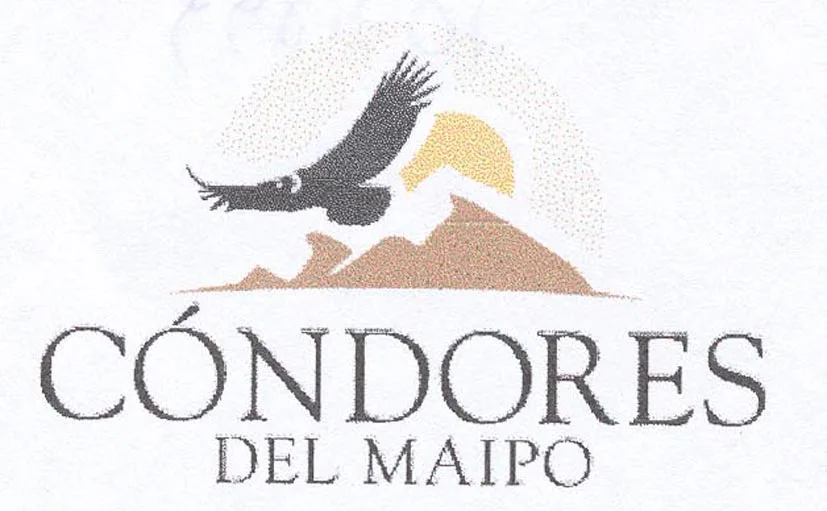 CONDORES DEL MAIPO