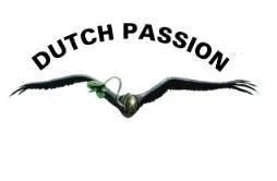 DUTCH PASSION