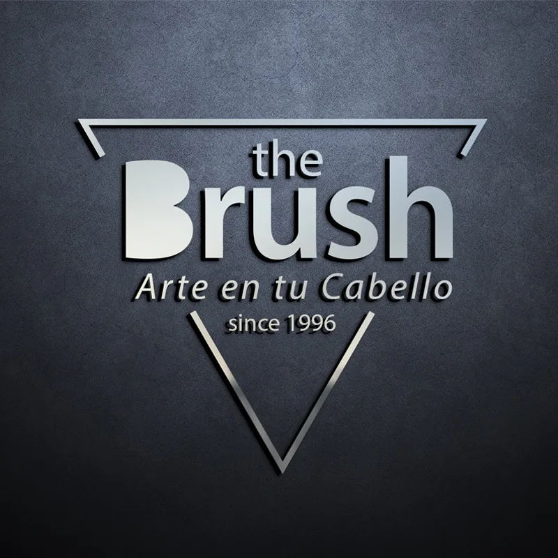 THE BRUSH ARTE EN TU CABELLO