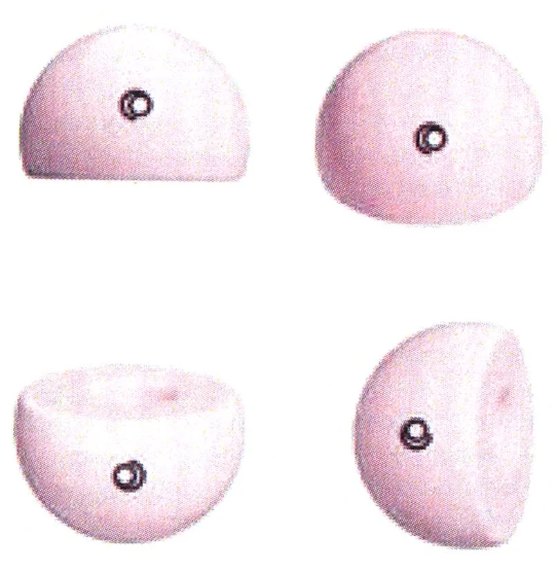 Acta 989901