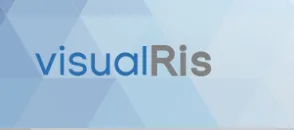 VISUAL RIS
