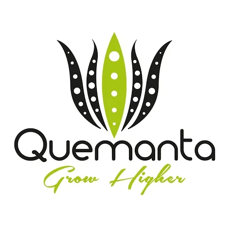 Quemanta