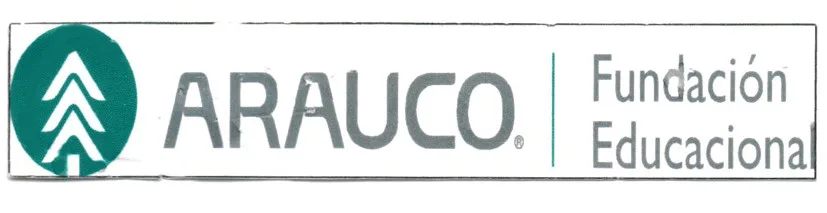 ARAUCO FUNDACION EDUCACIONAL