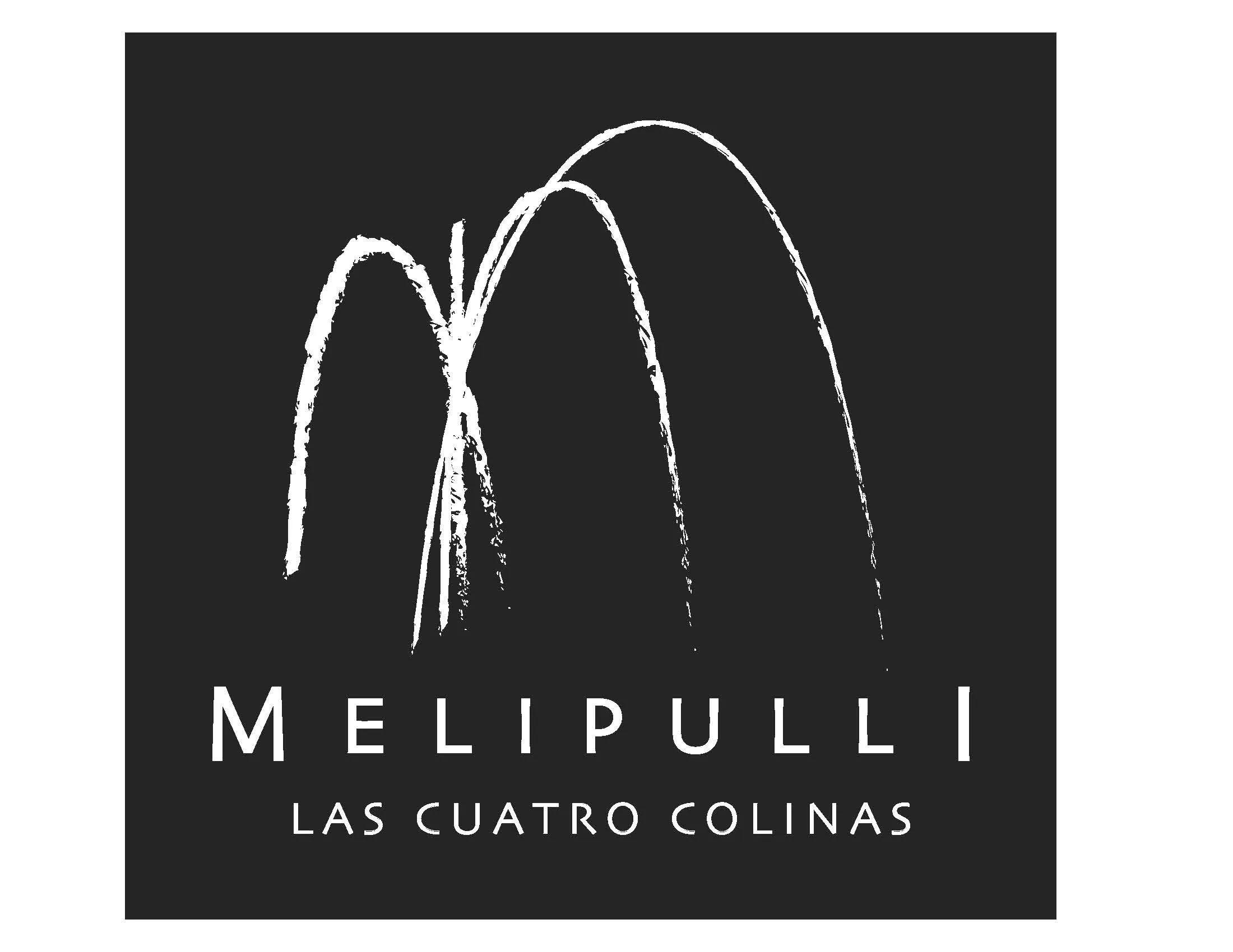 MELIPULLI LAS CUATRO COLINAS
