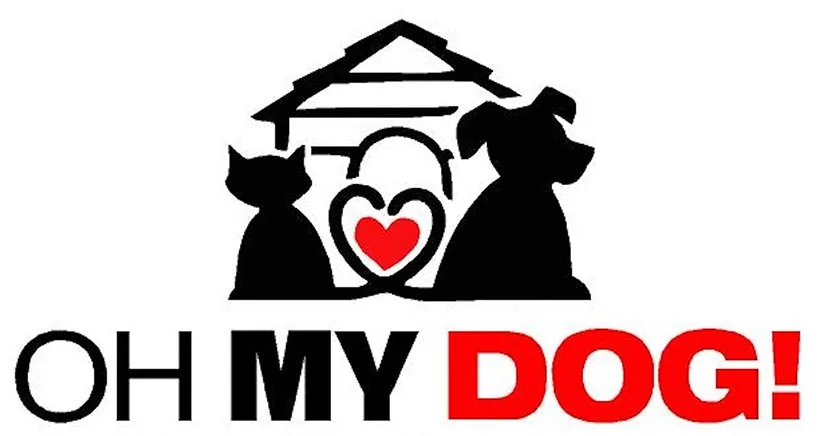 OH MY DOG!