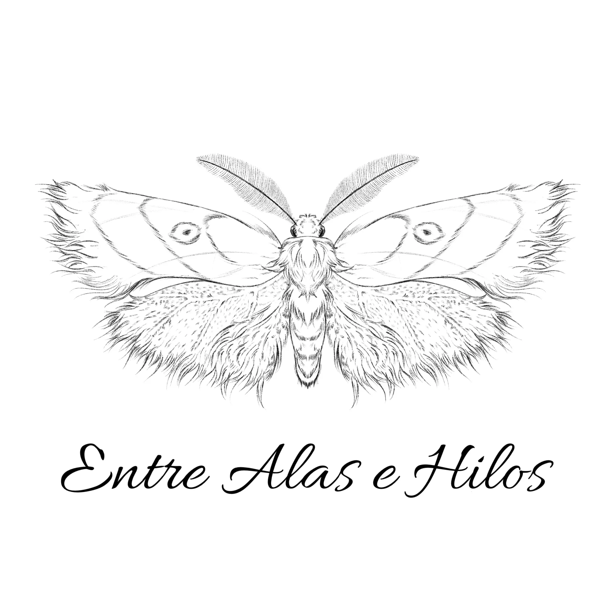 Entre Alas e Hilos