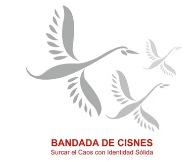 BANDADA DE CISNES, Surcar el Caos con Identidad Sólida