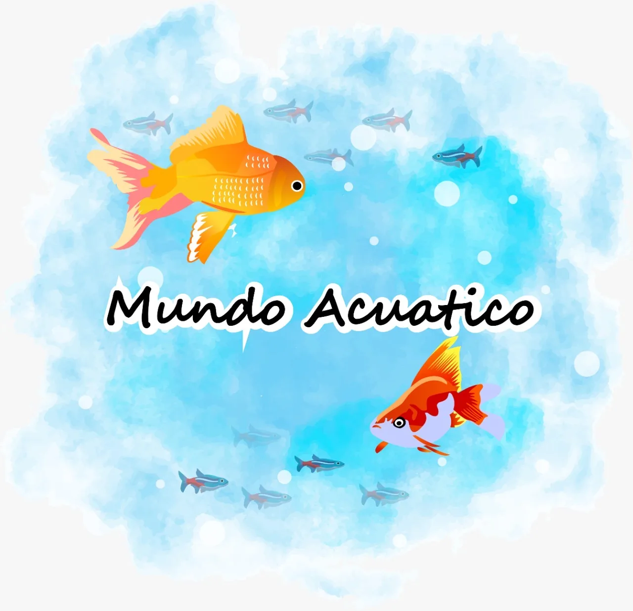 Mundo Acuatico