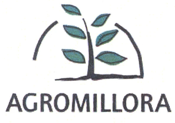 AGROMILLORA