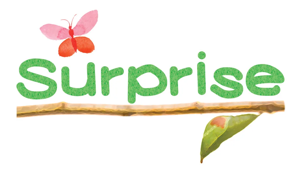 Surprise