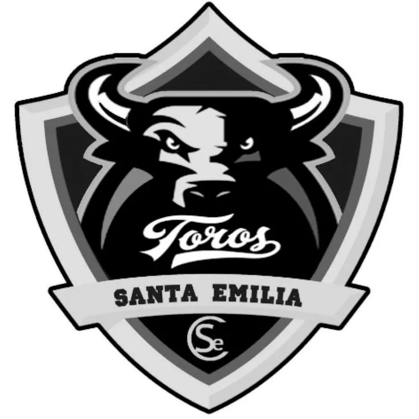TOROS SANTA EMILIA CSE