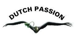 DUTCH PASSION