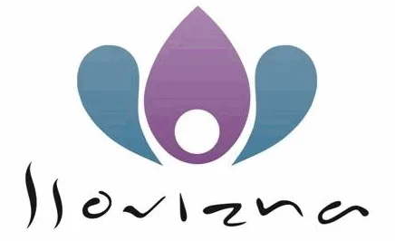 LLOVIZNA