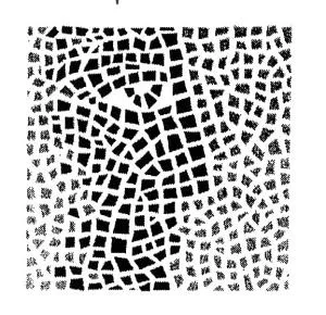Acta 1072916