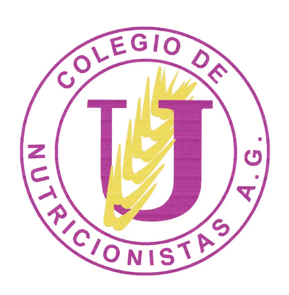 COLEGIO DE NUTRICIONISTAS DE CHILE A.G.