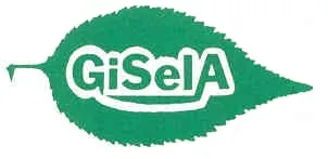 GiSelA