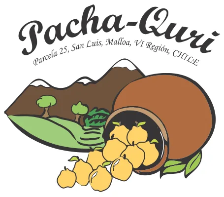 PACHA-QURI
