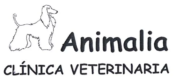 ANIMALIA CLINICA VETERINARIA