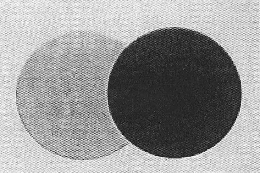 Acta 1001919