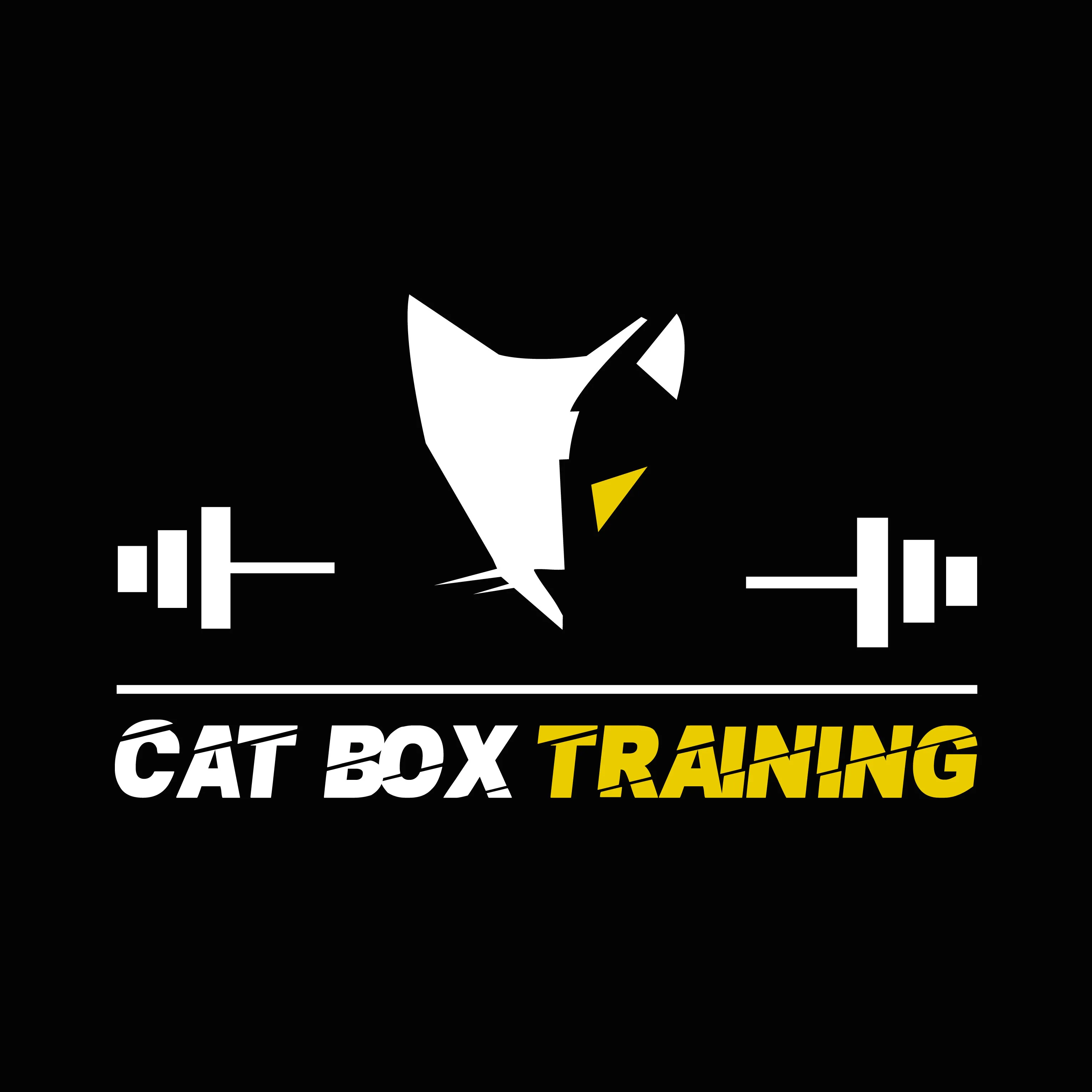 CAT BOX TRAINING