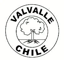 VALVALLE