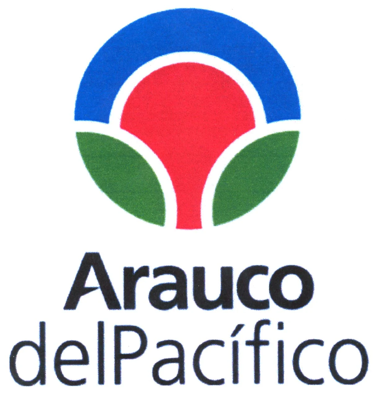 ARAUCO DEL PACIFICO