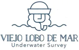 VIEJO LOBO DE MAR