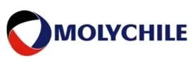MOLYCHILE