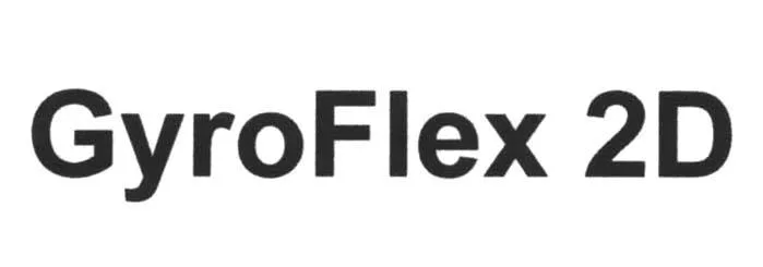 GYROFLEX 2D