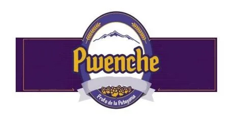 PWENCHE FRUTO DE LA PATAGONIA