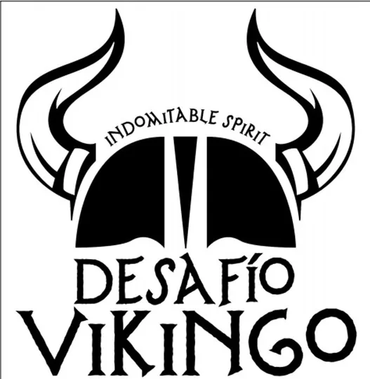 DESAFÍO VIKINGO